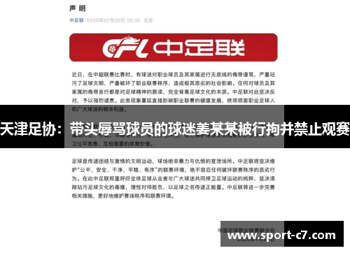 天津足协：带头辱骂球员的球迷姜某某被行拘并禁止观赛