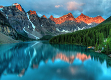 c7娱乐中心-蒂格：杰伦·布朗是我们的领导者 他是一个特别的人